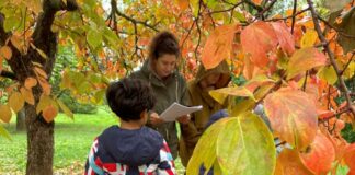 Autunno all'Orto Busnello