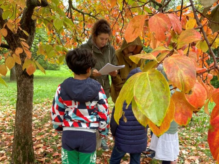 Autunno all'Orto Busnello