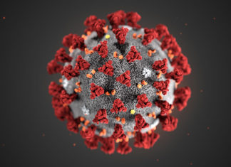 Corona virus